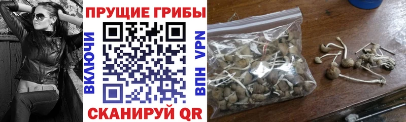 купить наркотики сайты  hydra   Псилоцибиновые грибы мухоморы  Пудож 